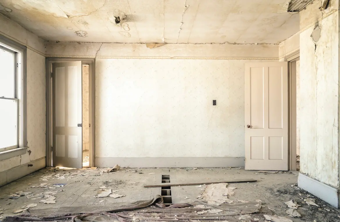 Waste disposal crew managing a cleanout project in Stafford